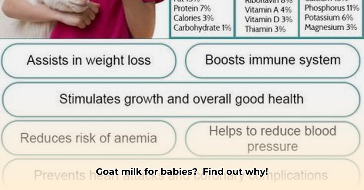 benefits-of-goat-milk-for-infants
